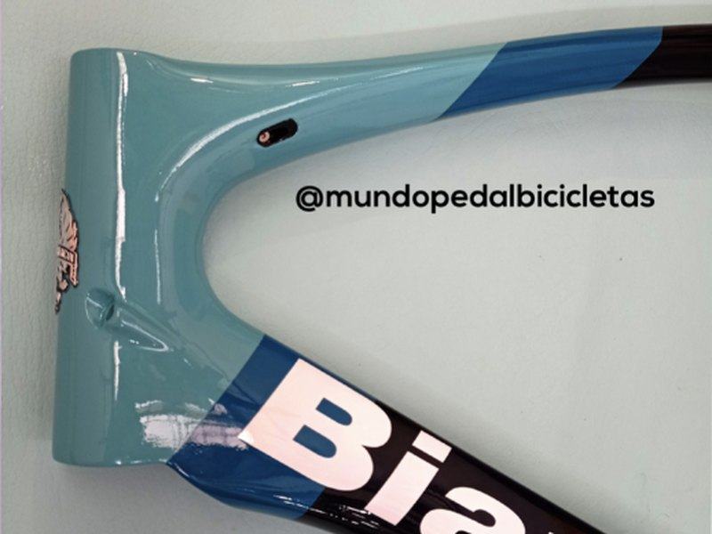 Detalle del cuadro Bianchi pintado